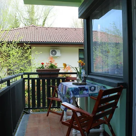 Vicze Vendeghaz Apartment