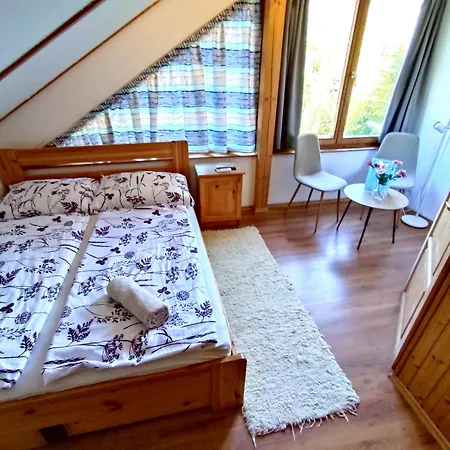 Apartment Vicze Vendeghaz